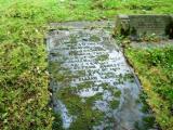 image of grave number 354498